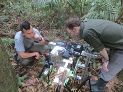 Studying ants in Panama with Matt Lutz